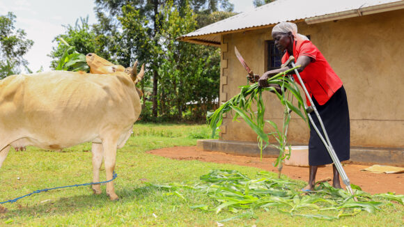 Jeniffer er en av flere bønder med nedsatt funksjonsevne som deltok i et Inclusive Futures-prosjekt finansiert av britisk bistand. Dette prosjektet utvides med finansiering fra USAID. © East African Breweries Ltd