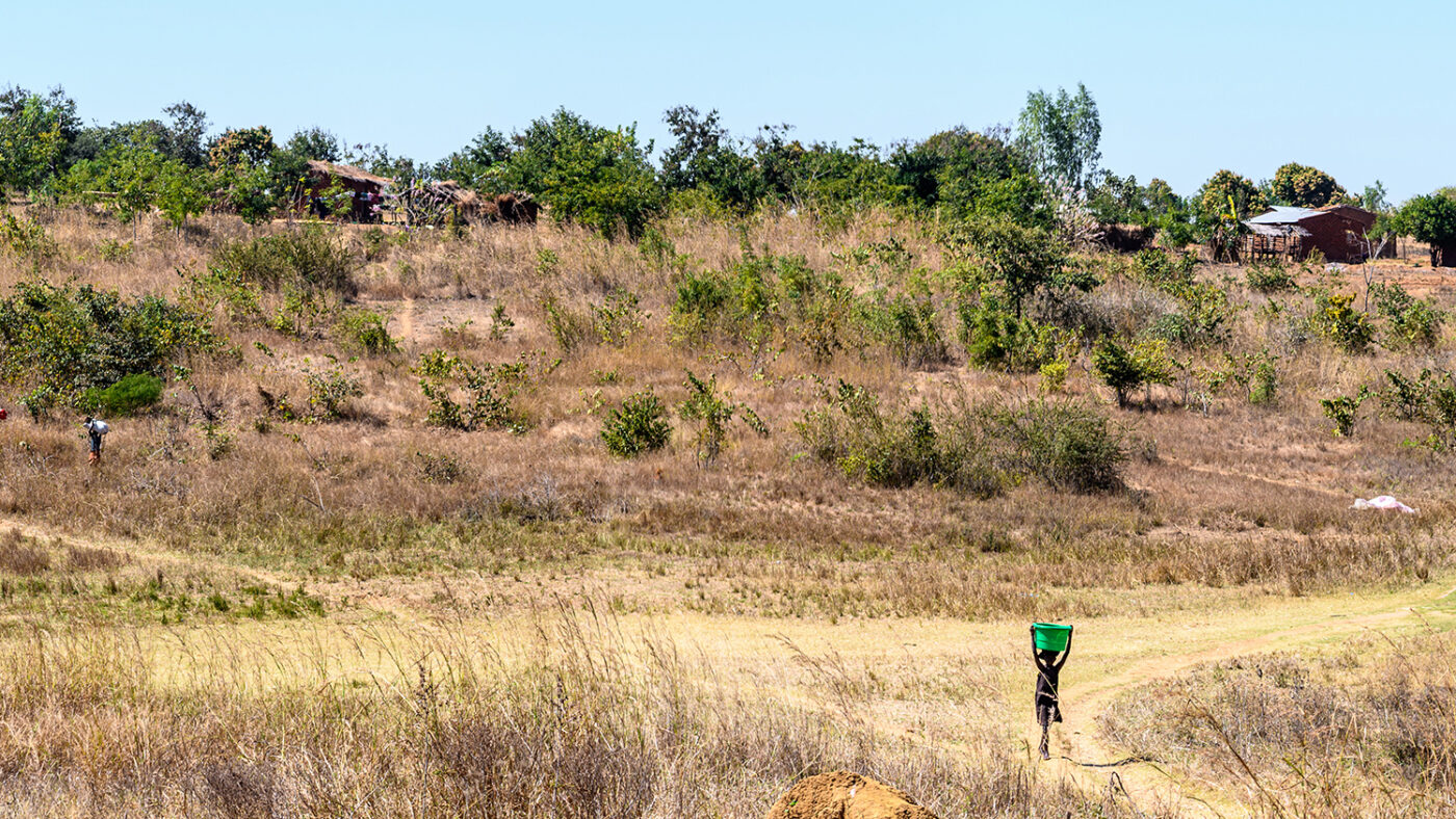 Et landskap med støvete stier og busker i Malawi. En jente går langs en av stiene med en knallgrønn bøtte på hodet.